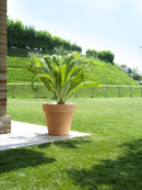 Vaso in Polietilene Standard One Anticato Varie Misure