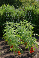 Set 10 Sostegni Tutori a Spirale per Piante Pomodori 200 cm in Acciaio Agrati