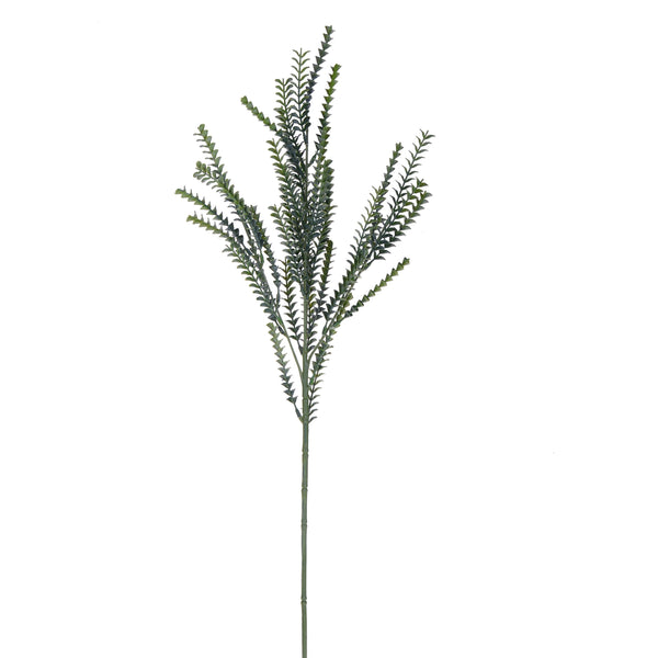 sconto Set 12 Rami di Crassula Artificiale Altezza 76,5 cm Verde