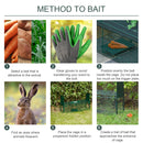 Gabbia Trappola per Animali Vivi Piccoli con Doppia Porta e Maniglia 60x18x20cm Verde Scuro