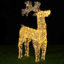 Renna Natalizia Luminosa 3D 70x42x11 cm 100 LED in Cristalli Acrilici e Metallo Bianco Caldo      