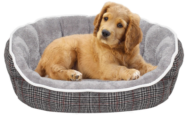 online Cuccia per Cani e Gatti in Poliestere Scotland Grigio Chiaro Varie Misure