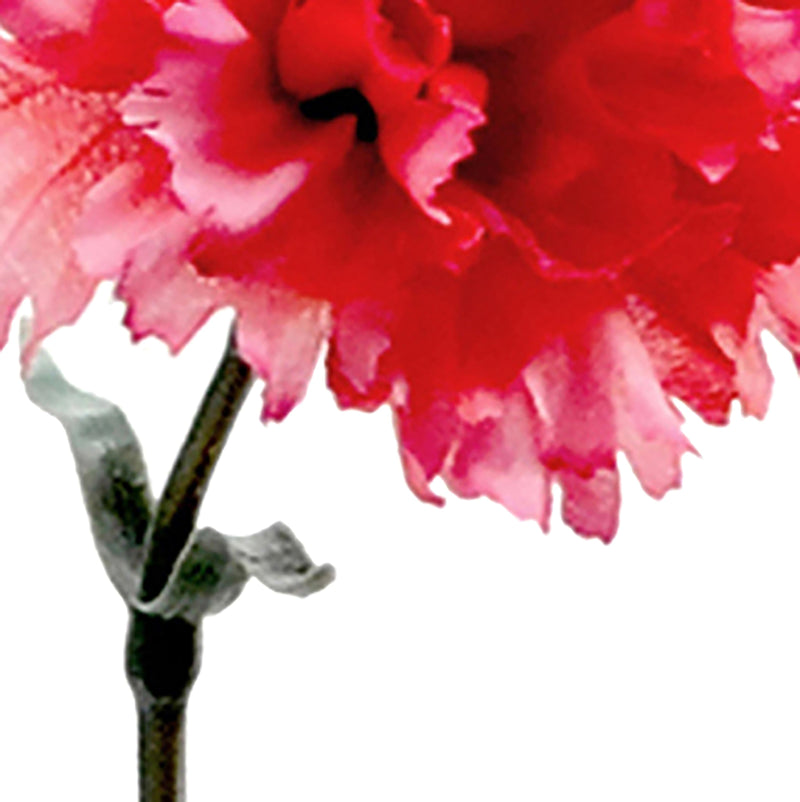 Set 12 Garofani Artificiali Singoli Altezza 63 cm Rosa