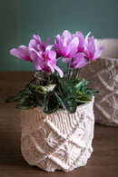 Set 2 Contenitori Decorativo Ø 18 H 16 cm