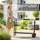 Carrello Barbecue da Esterno 114x61x81 cm con Piano in Acciaio Inossidabile Porta Spezie Ganci e Maniglia Laterale Nero      