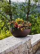 Vaso in Polietilene Era 40 Bronzo Varie Misure