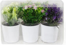 Set 3 Piante Artificiali con Vaso in Polipropilene Bianco   