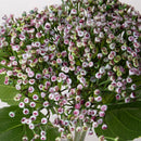 Set 6 Rami Artificiali Ortensia Cespugli 32 cm 