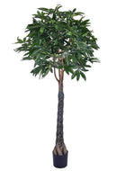 Pachira Artificiale in Vaso con 999 Foglie Altezza 215 cm Verde