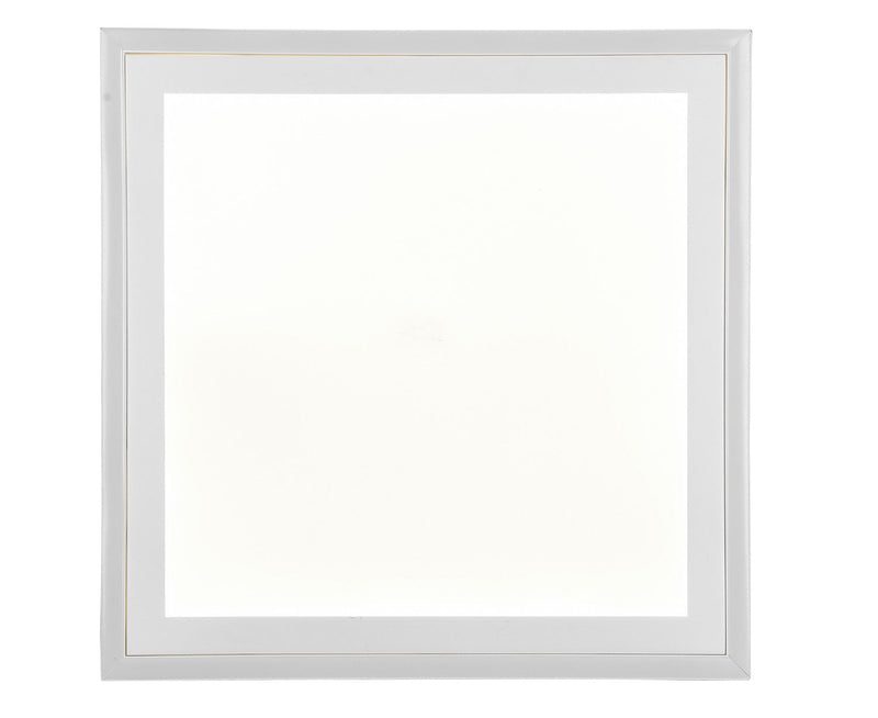 Plafoniera da Interno a LED in Plastica Bianco Opaco