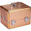 Valigetta per Estetista 27.5x20.5x20.5 cm Case Portatrucchi Make UP in Alluminio