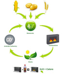 Camino a Bioetanolo da Tavolo Ø17x30cm Qlima FFB017 Bianco