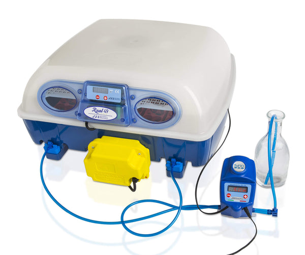 prezzo Incubatrice per Uova e Umidificatore Automatico Borotto Real 49 Expert