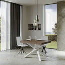 Tavolo Allungabile 120-380x90x77 cm Volantis Premium Noce Telaio Bianco 