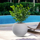 Vaso da Esterno Interno Design a Sfera Ø40x33 cm Botticelli in Resina Beige 