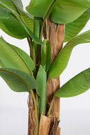 Pianta Artificiale di Banano Ø125x240 cm in Plastica con Vaso Verde 