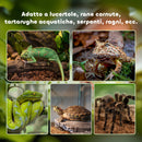 Terrario per Rettili Rialzato 50x30x25 cm con Serratura e Termometro in Vetro e Rete Metallica Nero  