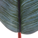 Set 6 Foglie di Strelitzia Artificiale Altezza 83 cm Verde