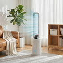 Raffrescatore Evaporativo 24,7x24,7x109,5 cm con Timer 15H e Telecomando in ABS Bianco      