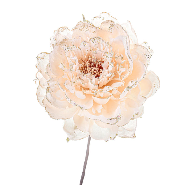 online Set 12 Pick Peonia Ø11 cm Beige