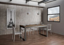 Tavolo Allungabile 160-264x90x80 cm Tecno Evolution Noce