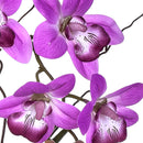 Dendrobium Artificiale con Vaso Altezza 36 cm Viola