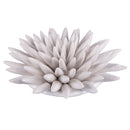 Riccio di Mare Decorativo 20x20x6 cm  in Ceramica VdE Tivoli 1996 Fish