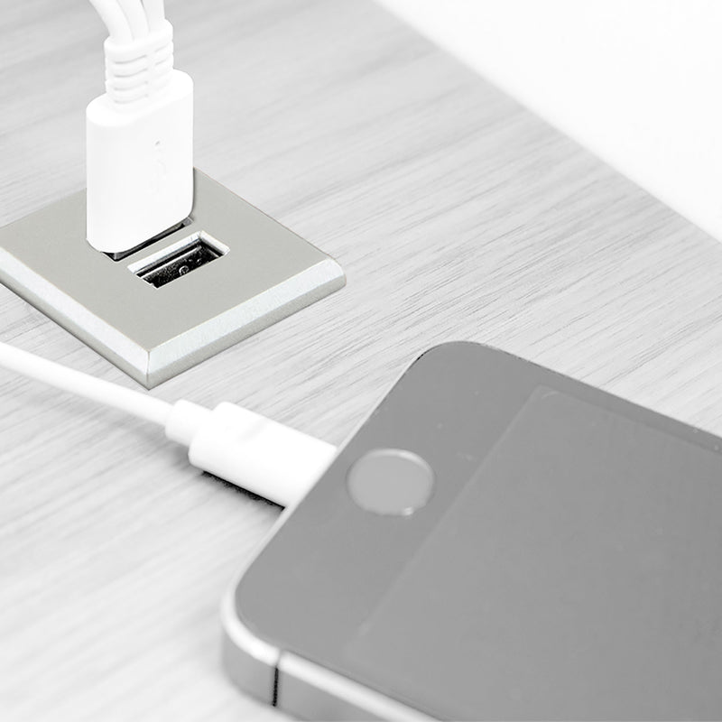 Connettore Quadrato a Incasso 2 Prese Usb 37 mm Plastica Grigio Metallizzato Emuca