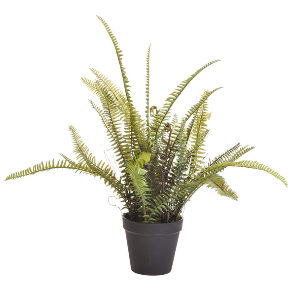 online Felce Boston Artificiale con Vaso Altezza 61 cm Verde