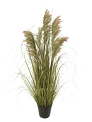 Pianta di Gymerium Artificiale con Vaso H.73 cm 