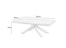 Tavolo Fisso 200x100x76 cm in Frassino Spike  Naturale