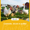 Pollaio Casetta Galline 150x100x96,5 cm con Tetto Impermeabile in Legno Giallo      