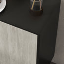 Credenza Moderna con 2 Armadietti 121x37x75 cm Nero e Grigio 