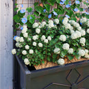 Fioriera Rettangolare con Traliccio per Piante Rampicanti 90x40x120 cm in Acciaio Zincato Nero  