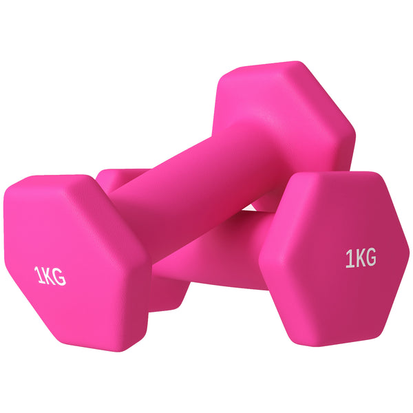 acquista Set 2 Manubri Palestra 1 kg Pesi esagonali per Allenamento Rosa