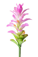 Set 4 Rami Artificiali Ginger Fiore con Foglie 100 cm 