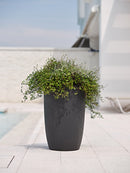 Vaso in Polietilene Meti 30 Cappuccino Varie Misure