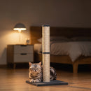 Tiragraffi per Gatti 39,5x39,5x80 cm con Corda in Sisal e Base in Truciolato e Peluche Grigio Scuro      