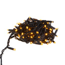 Luci di Natale 100 Led 5m Bianco Caldo da Interno