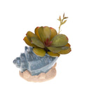 Set 2 Vasi Conchiglia con Base Ø 20 H 11 cm 