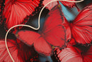 Stampa con LED su Tela Butterflies 60x3,5x90 cm in Tela e Plastica e MDF Multicolor      