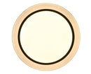 Plafoniera da Interno a LED in Plastica Nero Opaco