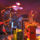 Stufa Elettrica ad Infrarossi 71x11x8 cm 1200W Moel Fiore Black 766N