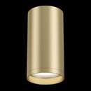 Plafoniera Ceiling & Wall in Metallo FOCUS S Opaco Oro