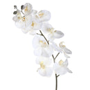 Set 6 Fiori Phalenopsis innevata H120 cm Crema