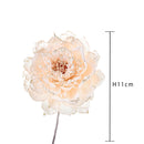 Set 12 Pick Peonia Ø11 cm Beige