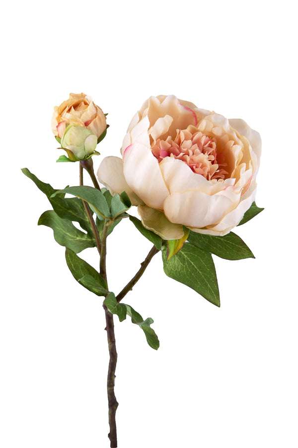 Set 6 Peonia Artificiale Romance con 3 Fiori Altezza 49 cm Beige sconto