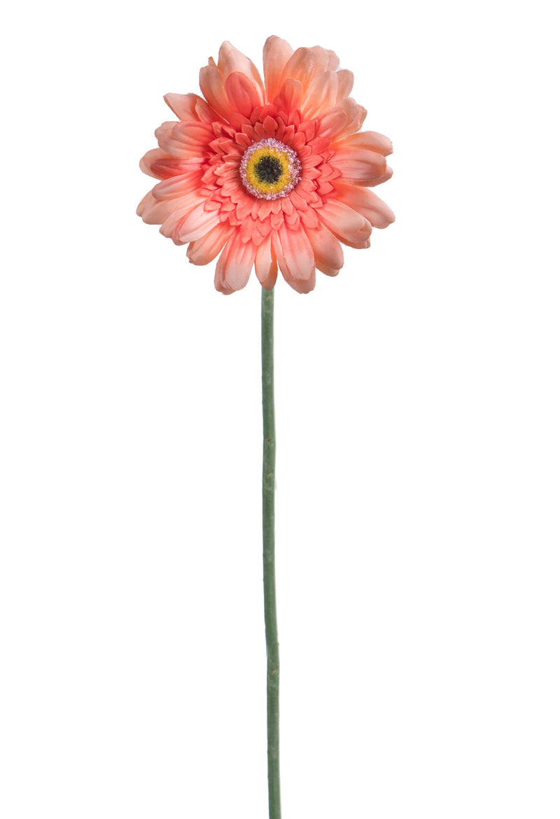 Set 12 Fiori Artificiali di Gerbera Altezza 63 cm 