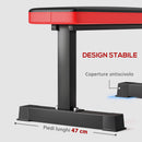 Panca Piana per Pesi e Addominali Capacità 300kg 106x26x48 cm Nero  