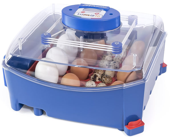 acquista Incubatrice per Uova Termoisolante con Biomaster Borotto Lumia 16